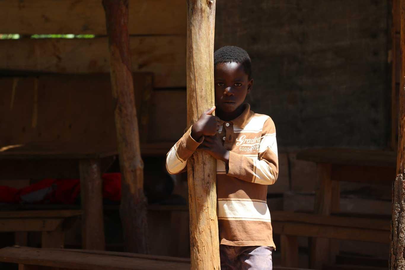 ​Uganda’da öğrenciler ağaç altında eğitim görüyor